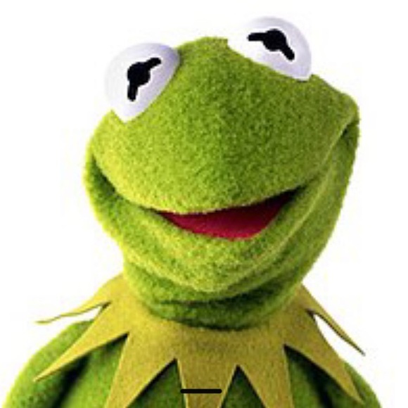 kermit_frog80